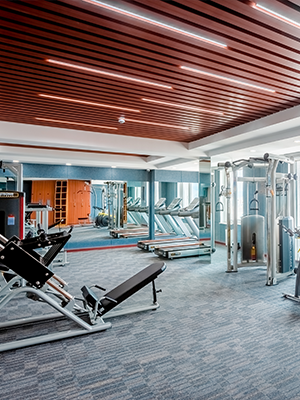 Gym Equipment